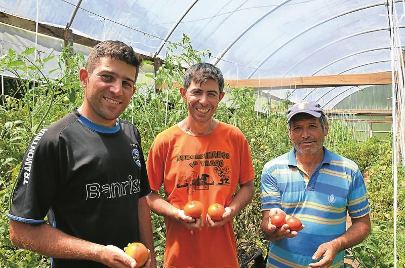 Alpdio e os filhos Joo e Paulo, diversificaram a produo e tambm atuam com cultivo orgnico