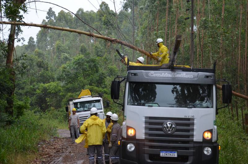 Ventania derrubou rvores, como em Santa Rita, Salvador do Sul