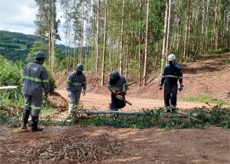 Treinamento foi realizado na linha Anita, em Floriano Peixoto