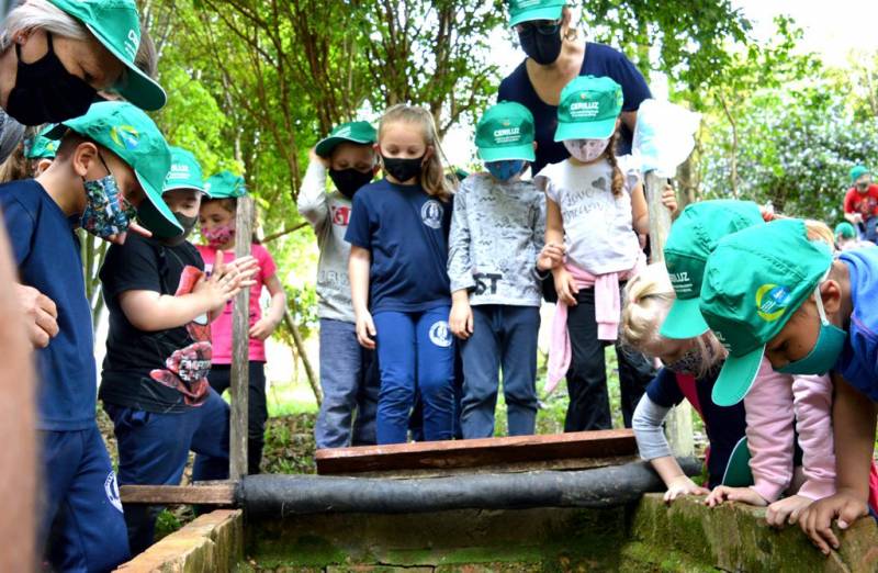 Foi despertada a curiosidade pela preservao das nascentes e do meio ambiente