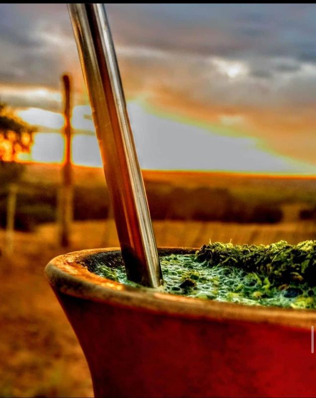 Indústria da erva-mate celebra o Dia do Chimarrão promovendo o consumo da bebida