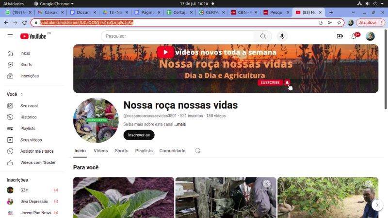 Pgina do canal criado por Lauro