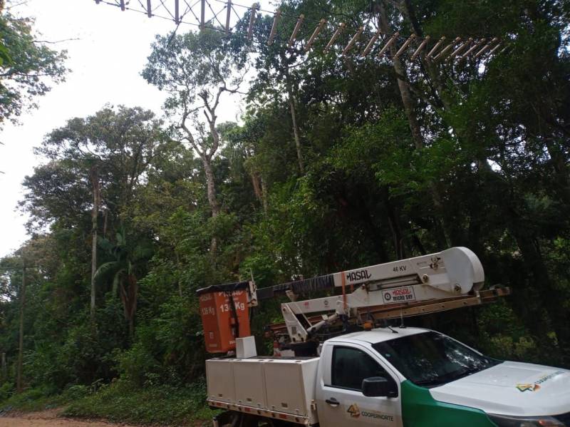 Travessia de animais sobre rodovia